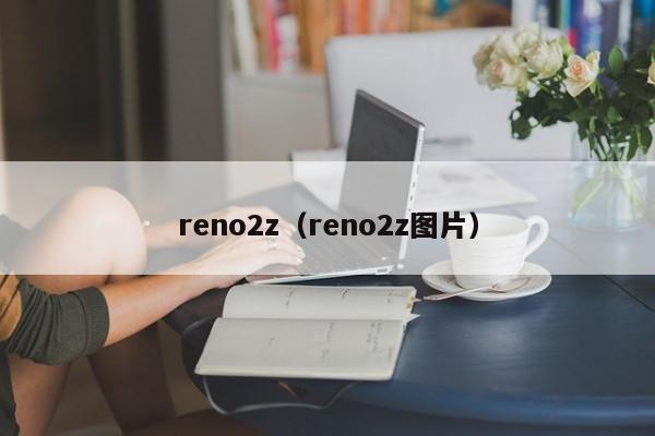 reno2z（reno2z图片）