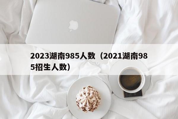 2023湖南985人数（2021湖南985招生人数）