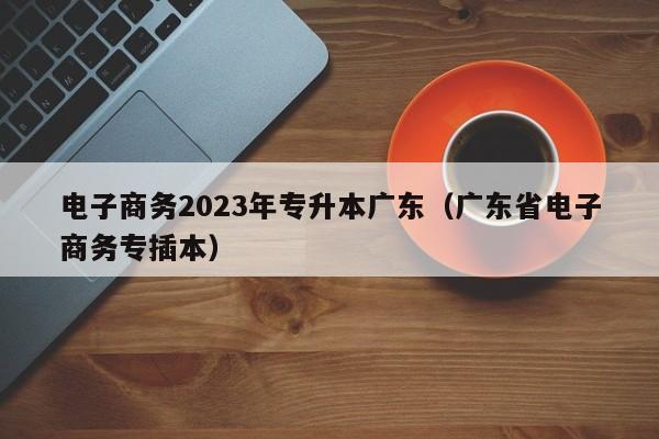 电子商务2023年专升本广东（广东省电子商务专插本）